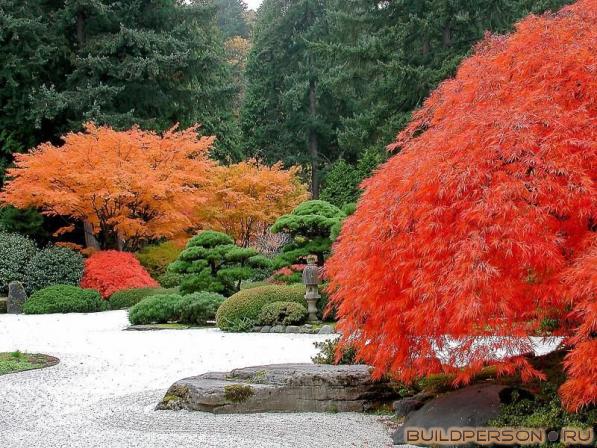 Японский сад камней