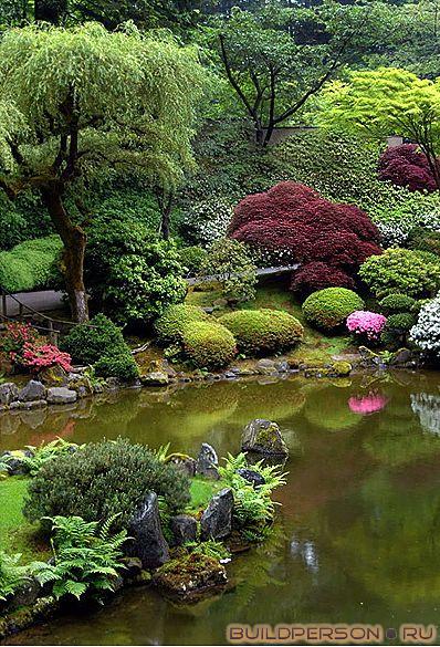 Японский сад и водоем