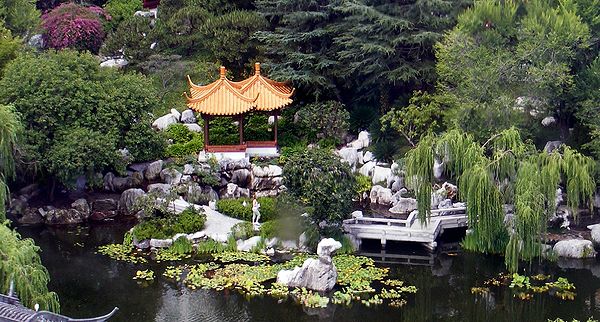 Китайский сад