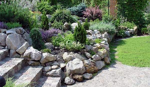 каменистый сад