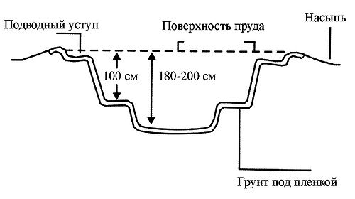 Схема устройства простейшего пруда